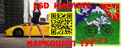 Альфа ПВП Ликино-Дулёво