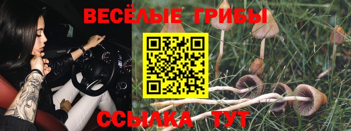 Галлюциногенные грибы Magic Shrooms Шелехов